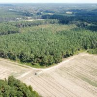 64 Acres in Eupora in Webster County MS images 3