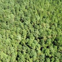 64 Acres in Eupora in Webster County MS images 4