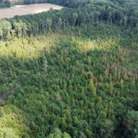 64 Acres in Eupora in Webster County MS images 5
