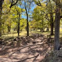 429 - Acres….3 2 Home 2 Live Creeks Water Wells 3 - ac Lake Elevation Hunting Barn More images 2