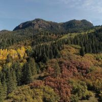 Fawn Gulch Legacy Ranch
