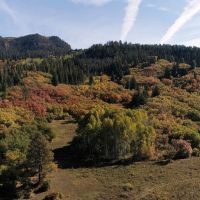 Fawn Gulch Legacy Ranch images 3