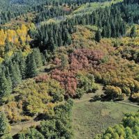 Fawn Gulch Legacy Ranch images 4