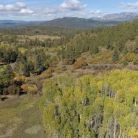 Fawn Gulch Legacy Ranch images 5