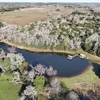 2287 Bryant Rd Schulenburg TX 78956 images 2