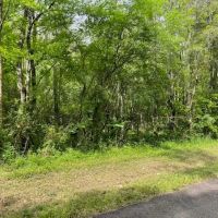 62.15 Ac Centerville Rd images 3
