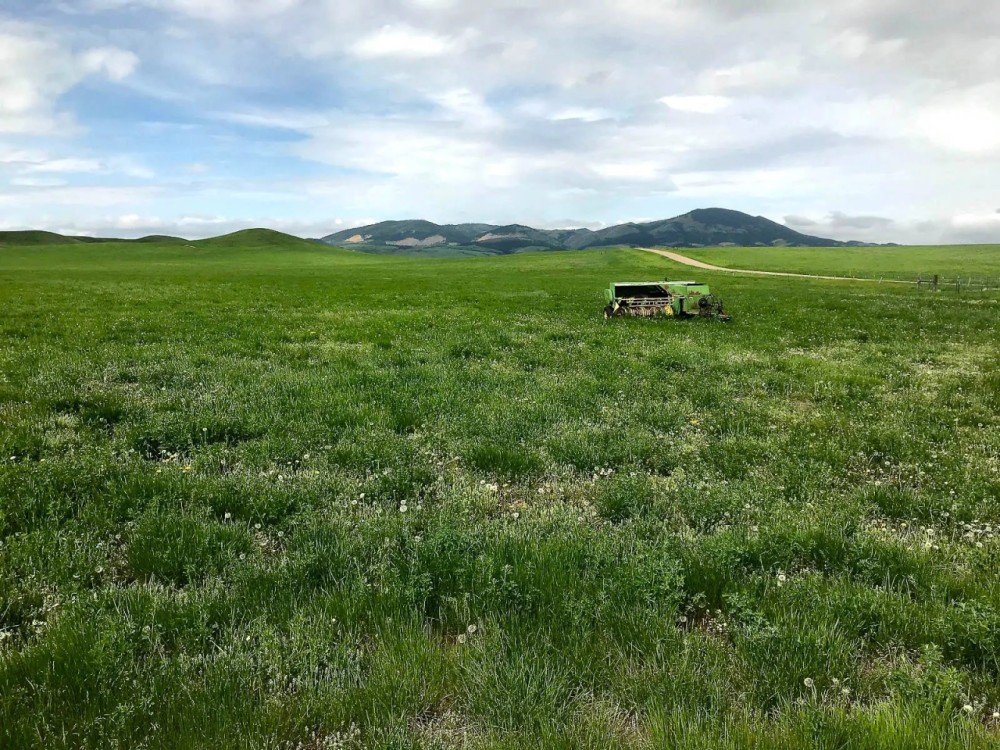 Dog Creek Acreage featured image