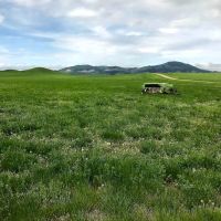 Dog Creek Acreage