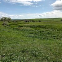 Dog Creek Acreage images 2
