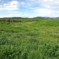 Dog Creek Acreage images 3