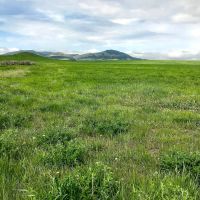 Dog Creek Acreage images 4