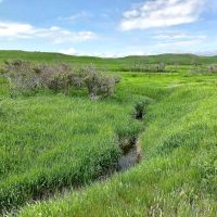 Dog Creek Acreage images 5