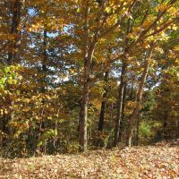 20.50 Ac Old Hwy 52 West loop