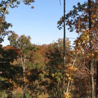 20.50 Ac Old Hwy 52 West loop images 4