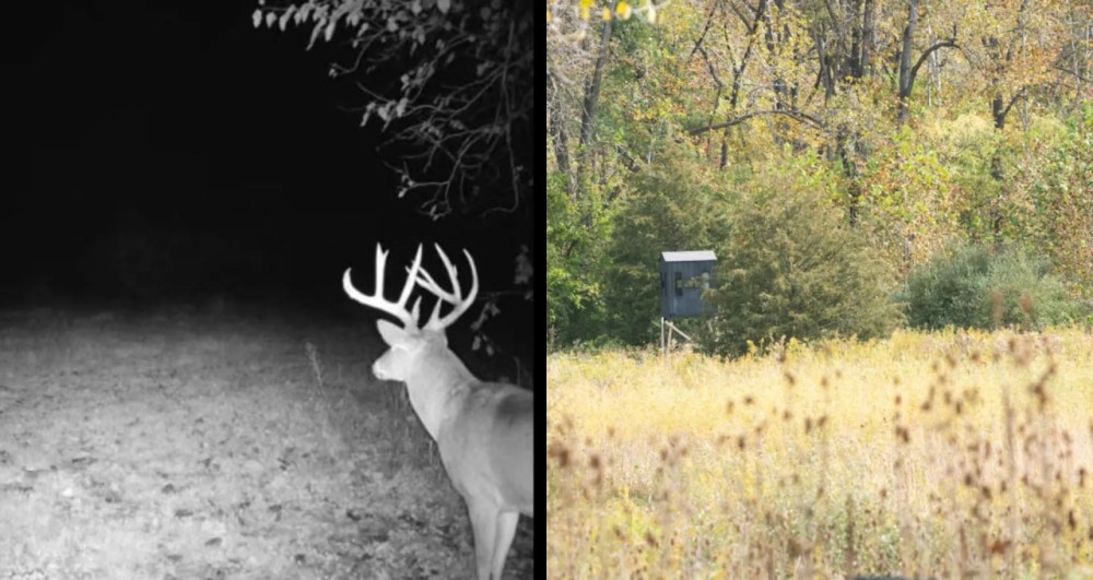 McDonough County Illinois 60 Acres For Sale featured image