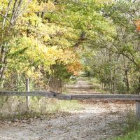McDonough County Illinois 60 Acres For Sale images 4