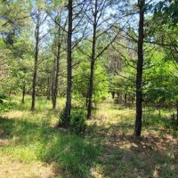 JOSLIN VALLEY Tract F images 3