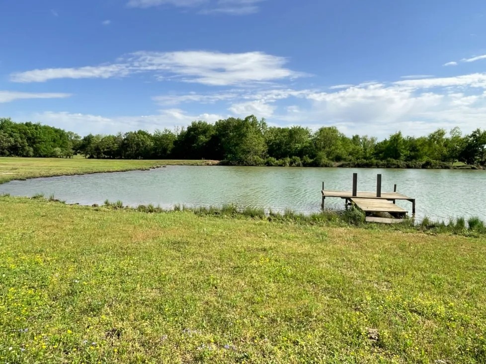 Shady Grove 90 Acres featured image