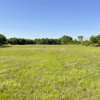 Shady Grove 90 Acres images 2