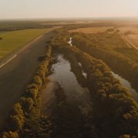 304.75 Acres in Leflore County MS - Macduff Farms images 3