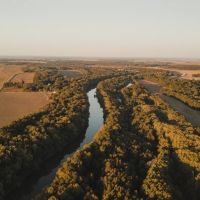 304.75 Acres in Leflore County MS - Macduff Farms images 4
