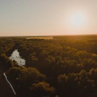 304.75 Acres in Leflore County MS - Macduff Farms images 5