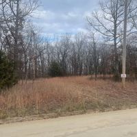 46 Acres of Hunting Land in Camdenton MO