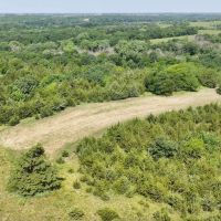 Wayne County Iowa 30 Acres For Sale images 3