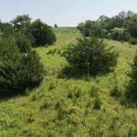 Wayne County Iowa 30 Acres For Sale images 4