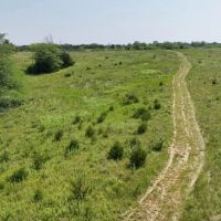 Wayne County Iowa 30 Acres For Sale images 5