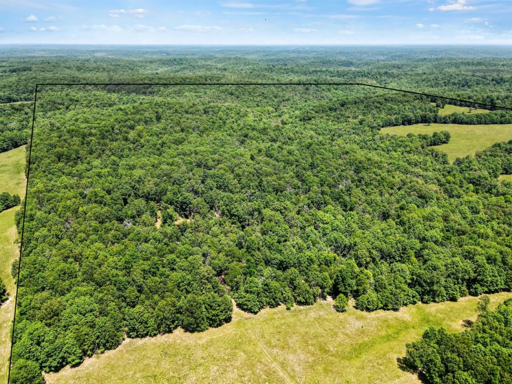 Ranch - Hunt - Timber - Pasture featured image