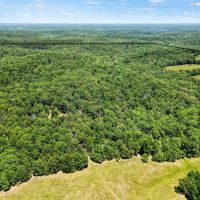 Ranch - Hunt - Timber - Pasture