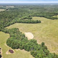 Ranch - Hunt - Timber - Pasture images 3