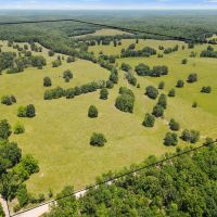 Ranch - Hunt - Timber - Pasture images 5
