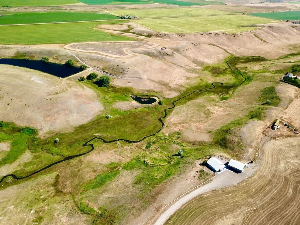 Irrigated Fort Shaw Farm featured image