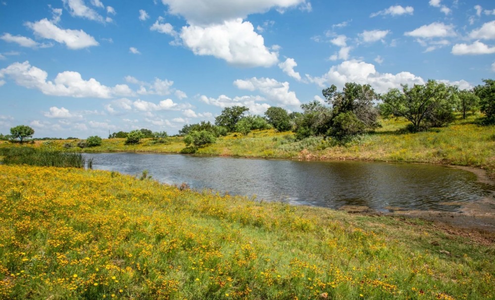 South Arrow Ranch featured image