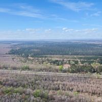 Joe Island Plantation Glynn County GA images 4
