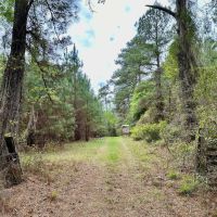 Joe Island Plantation Glynn County GA images 5