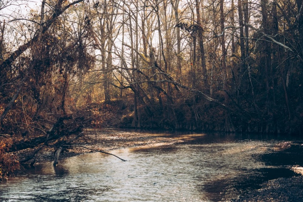 815 Acres in Sontag in Lawrence County MS featured image