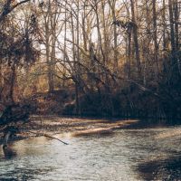 815 Acres in Sontag in Lawrence County MS