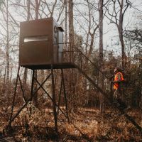 815 Acres in Sontag in Lawrence County MS images 5