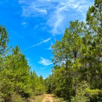 451 Acres The Game Preserve images 2