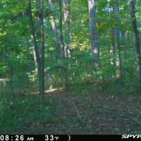 000 Tune Road Breese IL 62230 images 2