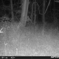 000 Tune Road Breese IL 62230 images 3