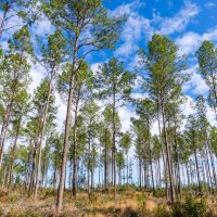 Groveton 237 images 2