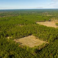 Groveton 237 images 3