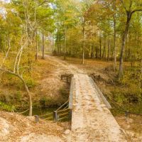 Groveton 237 images 4