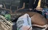 1 Equity Share at Smith Point Hunting Club in Bolivar County in Gunnison MS images 5