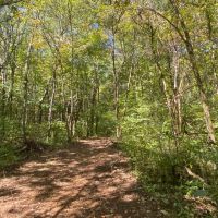 Lost Creek 90ac - images 2