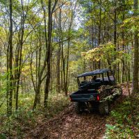 Lost Creek 90ac - images 3